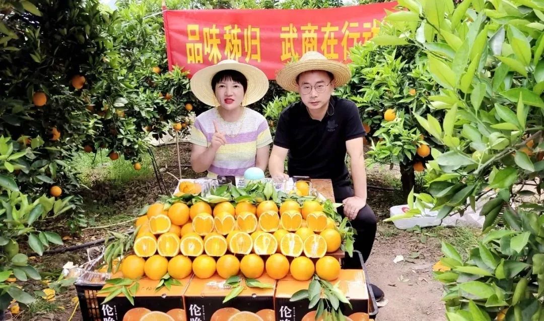 欧博abg - 官方网站登录入口