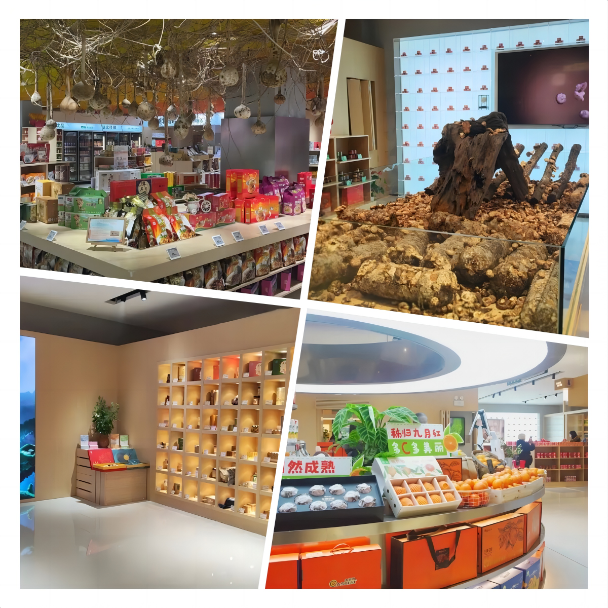 欧博abg - 官方网站登录入口