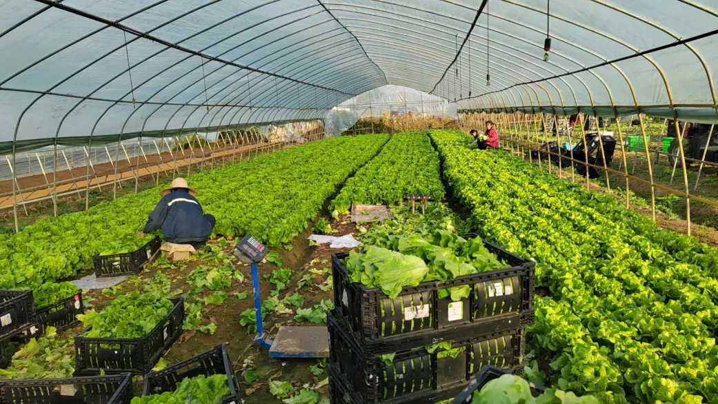 欧博abg - 官方网站登录入口